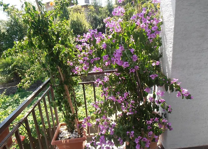 Guest house Stanger Lovran