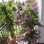بيت ضيافة Stanger لوفغان