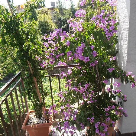 Gostinjska kuća Stanger Lovran